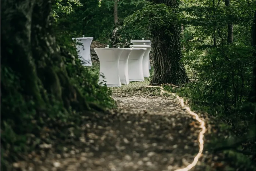 Poslovno druženje Tajfun – slika 25