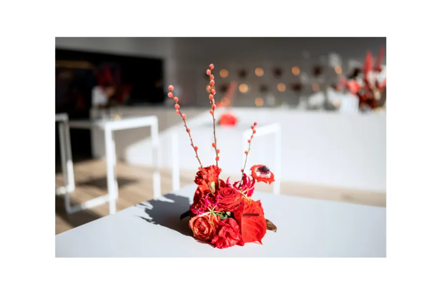 Supernova, Grand Opening – slika 16
